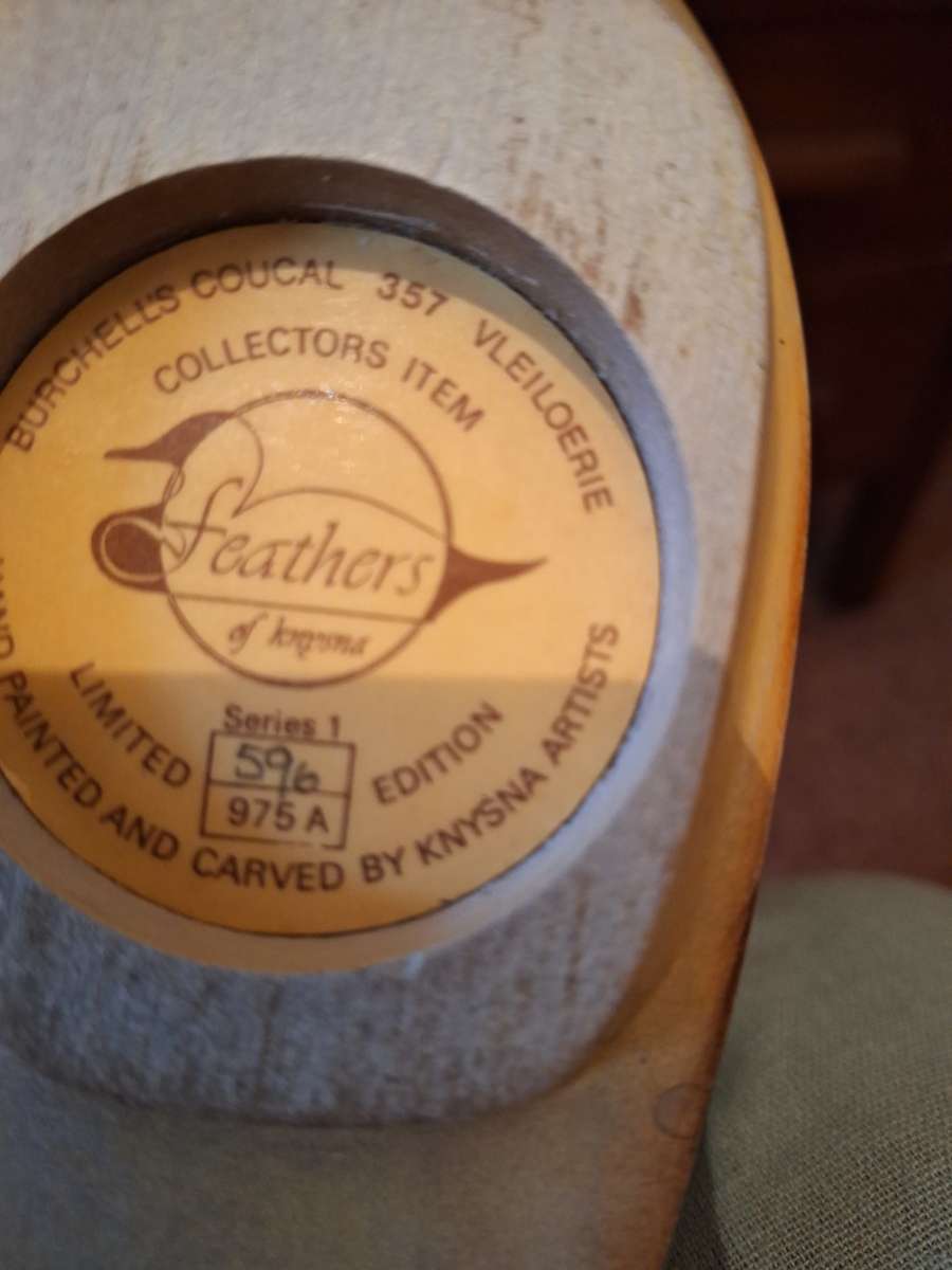 FEATHERS OF KNYSNA BURCHELL`S COUCAL 357 VLEILOERIE